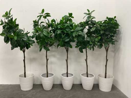 Sztuczne ro?liny z doniczk? (5x)