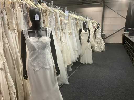 Partij damespaspoppen (8x)