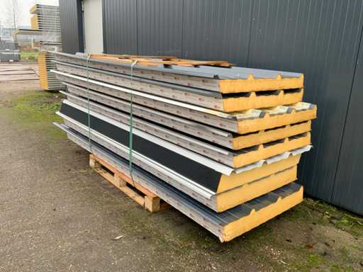 Profilo SAB - D130.1000 - D160.1000 - Pannelli sandwich del tetto (8x) 20m2