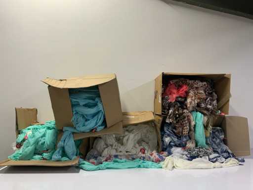 Festa di varie sciarpe