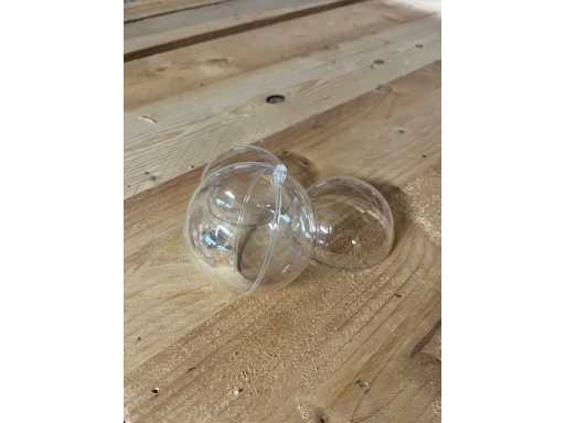 Bile transparente (1875x)