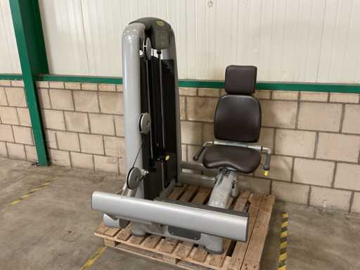 Technogym Selection Rotary calf