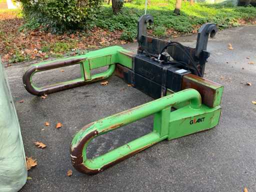 Clem? de balo?i gigant