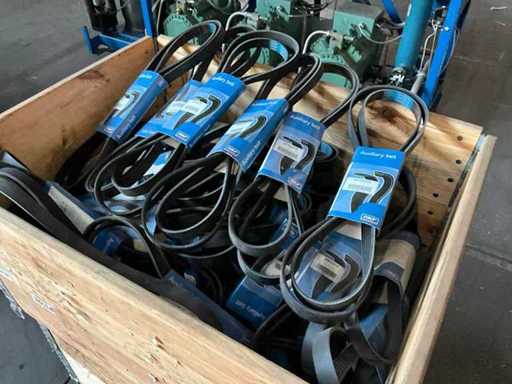 Partij SKF multi-riemen