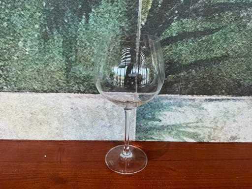 Schott Zwiesel - Gin tonic glass (12x)