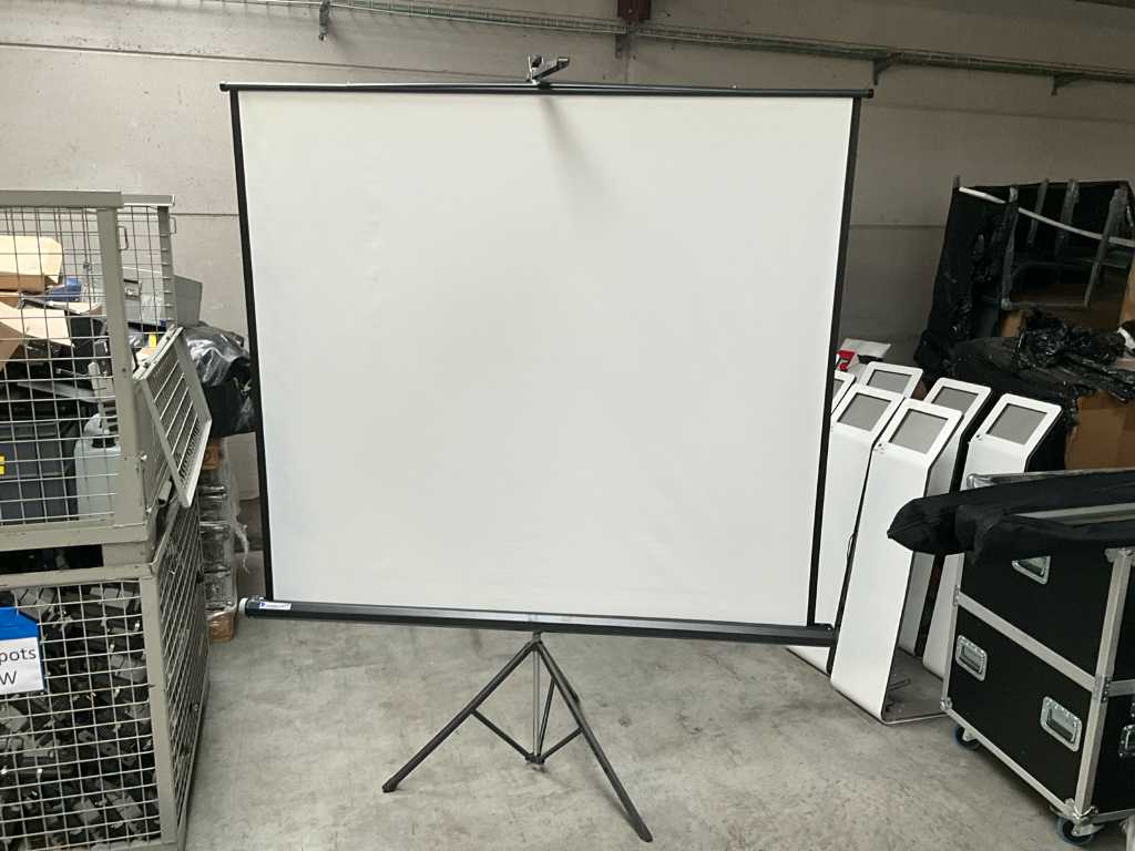 2 different projection screens PROJECTA