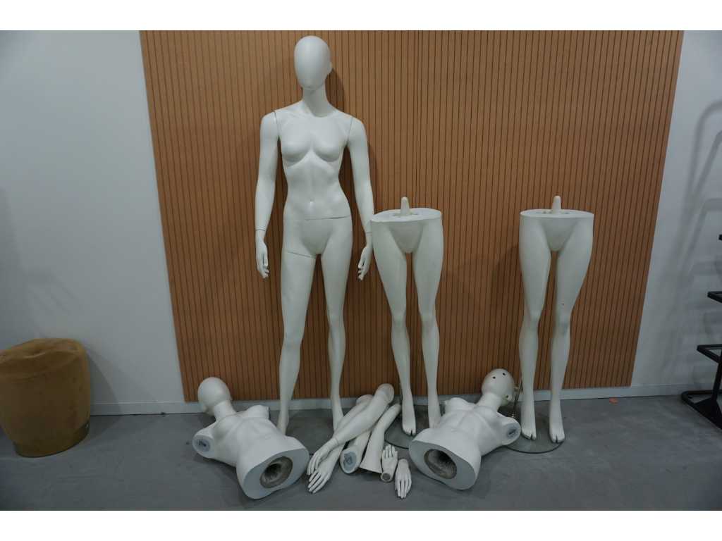 Mannequin with parts