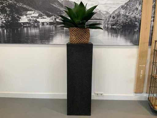 Plant op sokkel