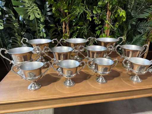 Decoratie schalen (11x)