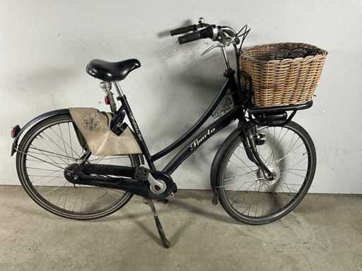 Sparta Country-Tour Elektrofahrrad