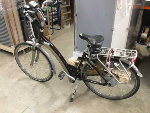 Sparta - Biciclet? de repara?ii pentru doamne