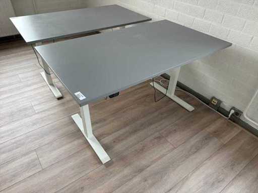 Electric Adjustable Desk