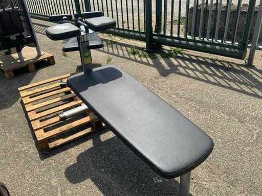 Gym80 Signum abdominal bench Krachtstation