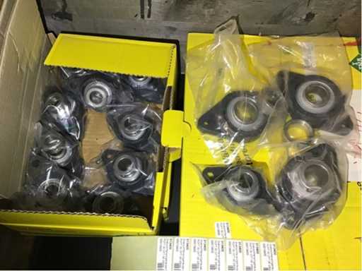 Molte alloggiate a flangia a due fori