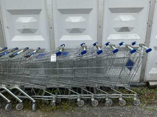 Einkaufswagen (10x)