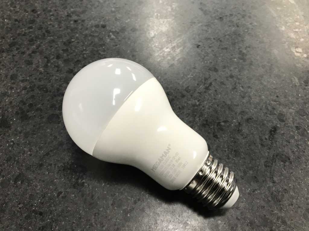 LED bulb (120x)