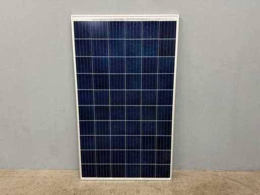 Solarwatt - Vision 60P 280Wp - Pannello solare (6x)