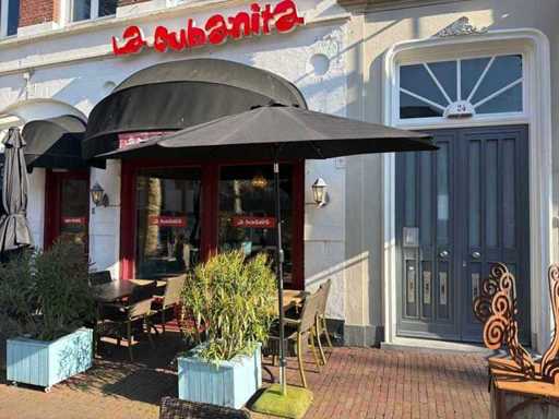 Maxgarden Parasol (5x)