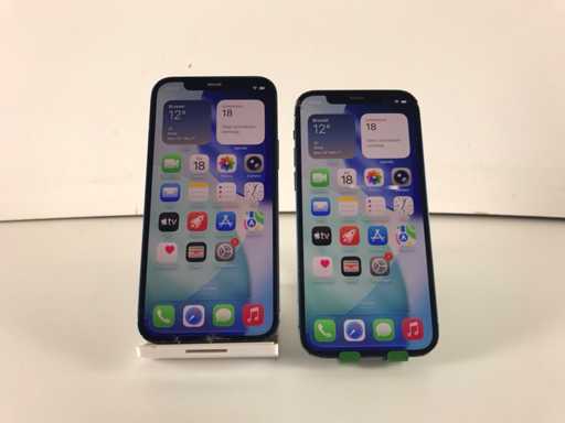 Apple iPhone 12 - 64 Go - Bleu (2x)