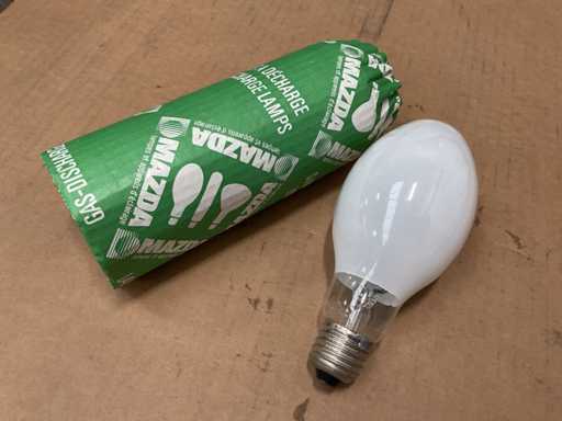 Ampoule Mazda 100W 230V (15x)