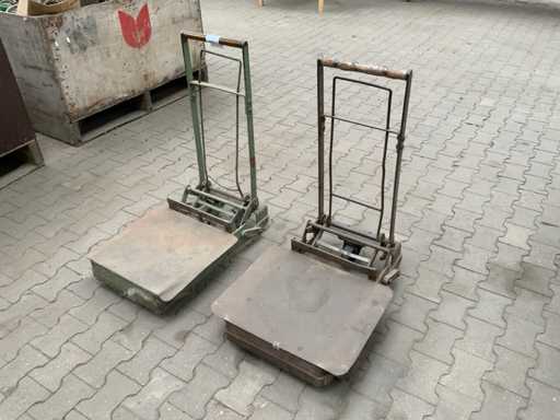 Carrello a mano/carrello elevatore (2x)
