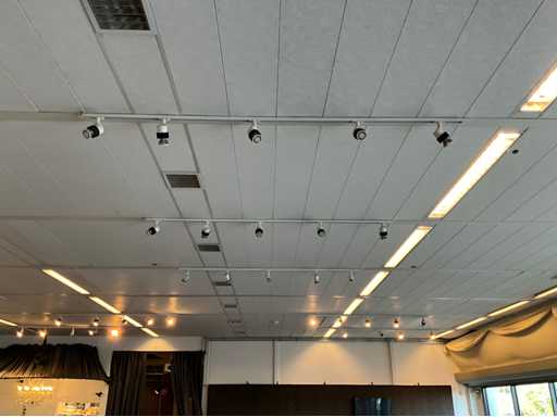 Faretti su rotaie (58x)