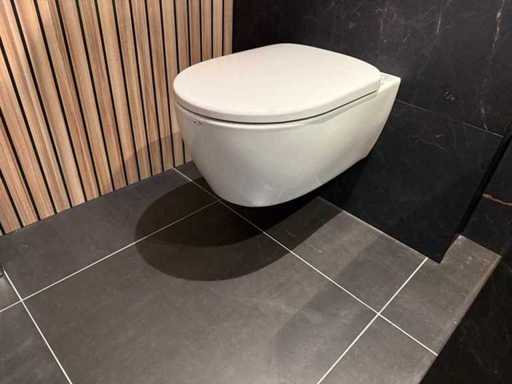 Geberit – Wandmontierte Toilette