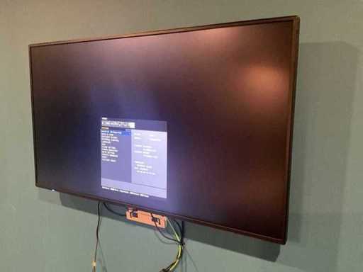 NEC MultiSync M491 49 inch 4K display