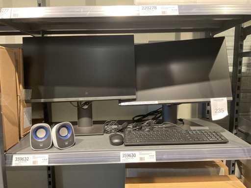 Monitor Dell P2419H (2x)