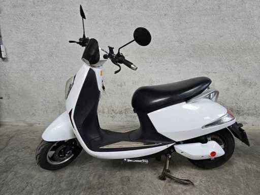 Monasso - Motorino elettrico - Grace - versione 45km DTK21T