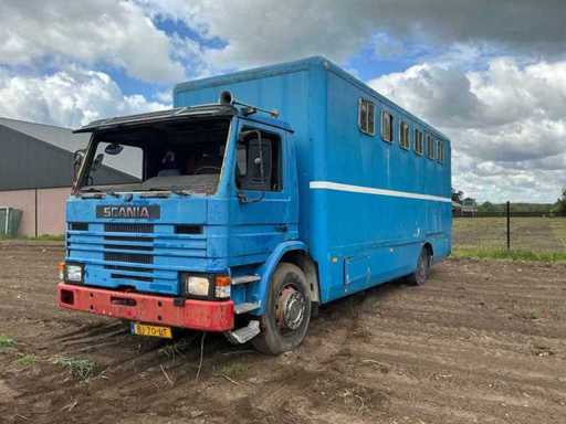 1984 Scania 82 M Vrachtwagenpaarden transport