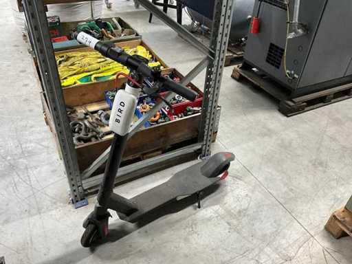 Bird Electric scooter