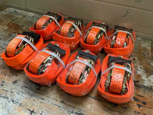 Zurrgurt 3000kg 8 Meter (8x)