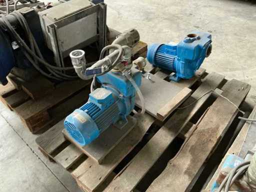 Pompe per acqua batch GMP (2x)