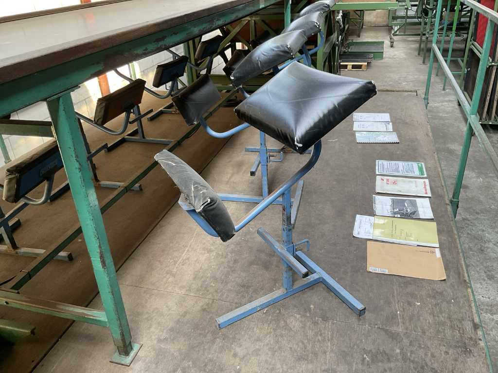 Sedia ergonomica con inginocchiatoio (8x) (C-1000)