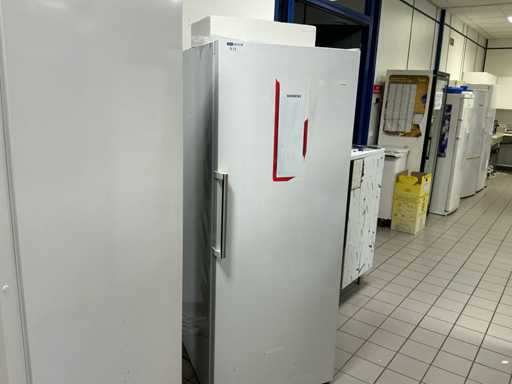 Frigider SIEMENS 323L