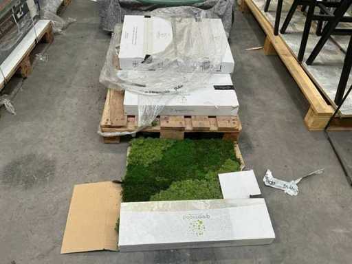 Plăci de mușchi pentru peretele de petrecere Greenmood (6x)