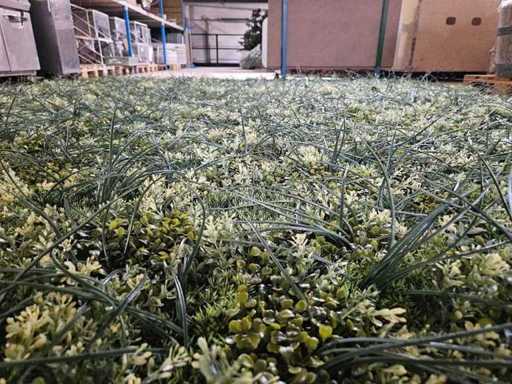 Mur vert de 8,25 m²