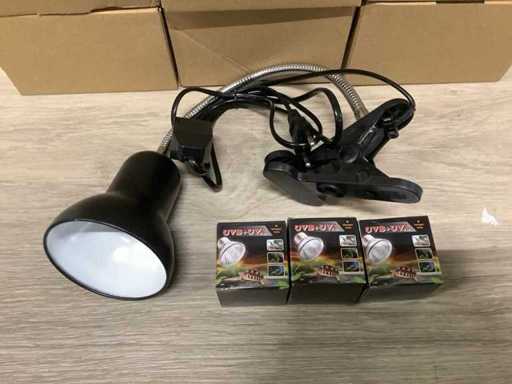 Illuminazione per terrario (11 volte)