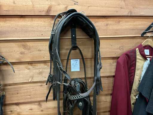 Eenpan pony harness