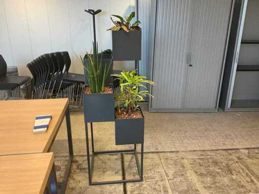 Hydroponic Plant z donicą