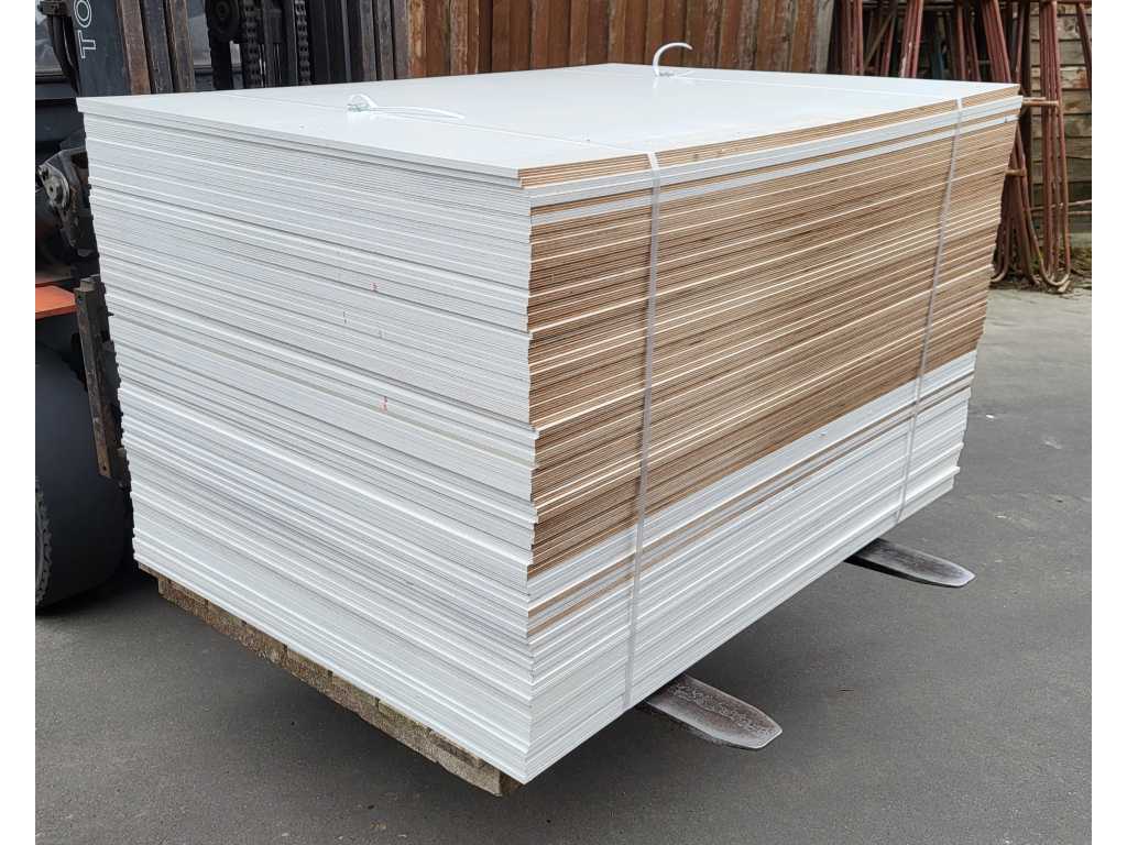 90 m2 WISA Birch Plywood Guarantor 9mm with paintfilm
