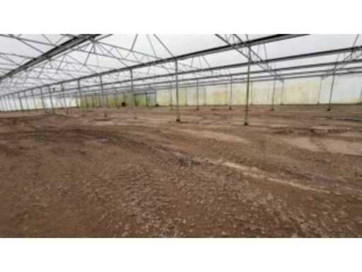 0b028764-fd35-4aa0-b4af-780bb94b894f.mp4