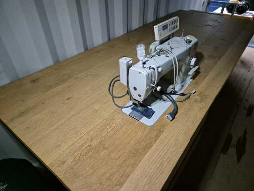 Globale Industrie-Nähmaschine