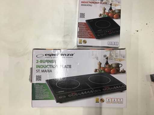 Plăci de inducție Esperanza (3x)
