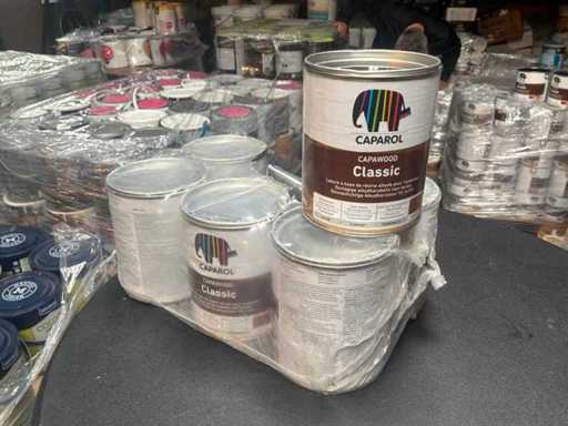 Caparol Paint (6x)