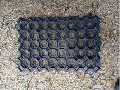 Guttagarden - Grass Paver Grid Guttagarden 56x38x3