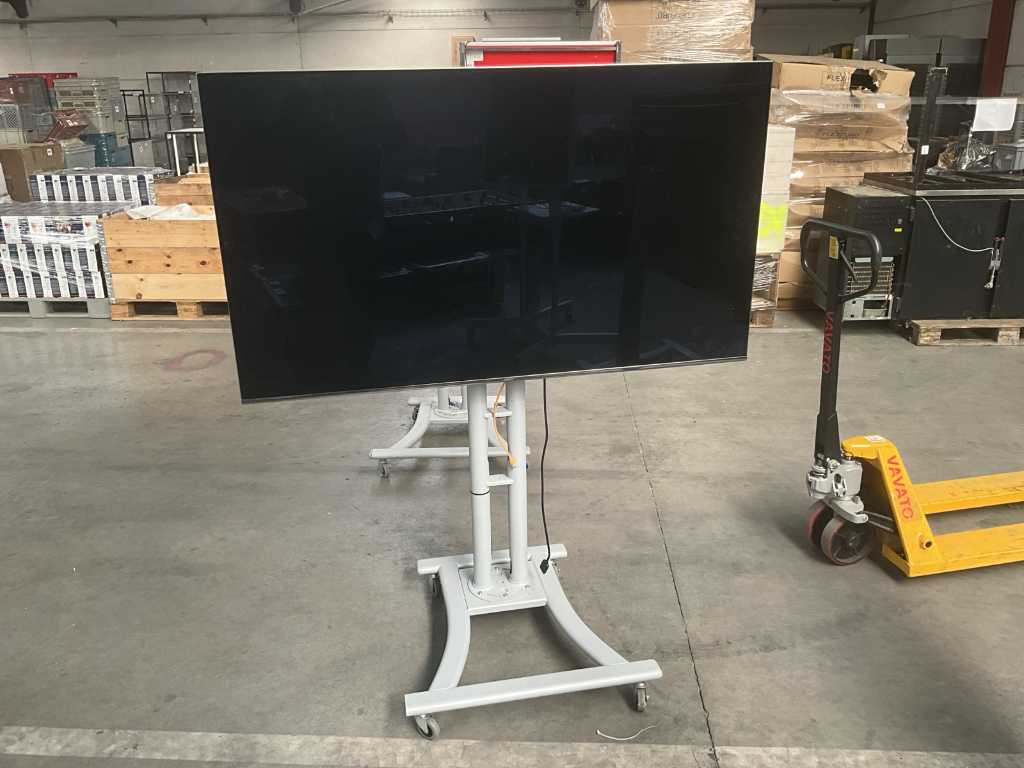 TV on rolling stand