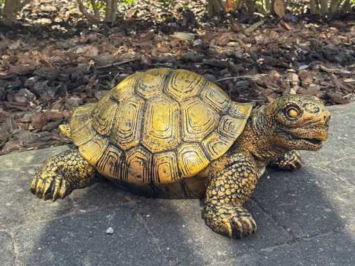 Turtle / Schildpad L40cm Gold