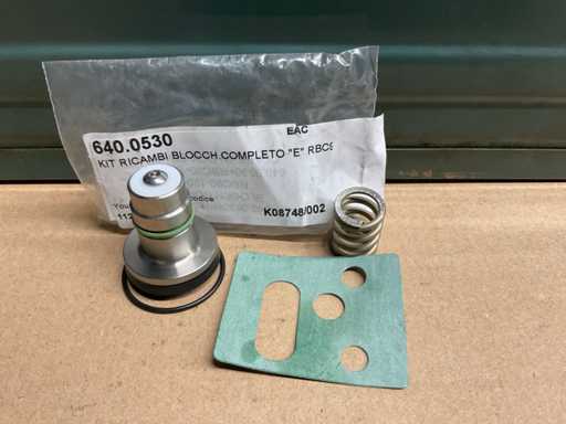 Kit de mantenimiento AR RBC 90E Válvula de dilatación (9x)